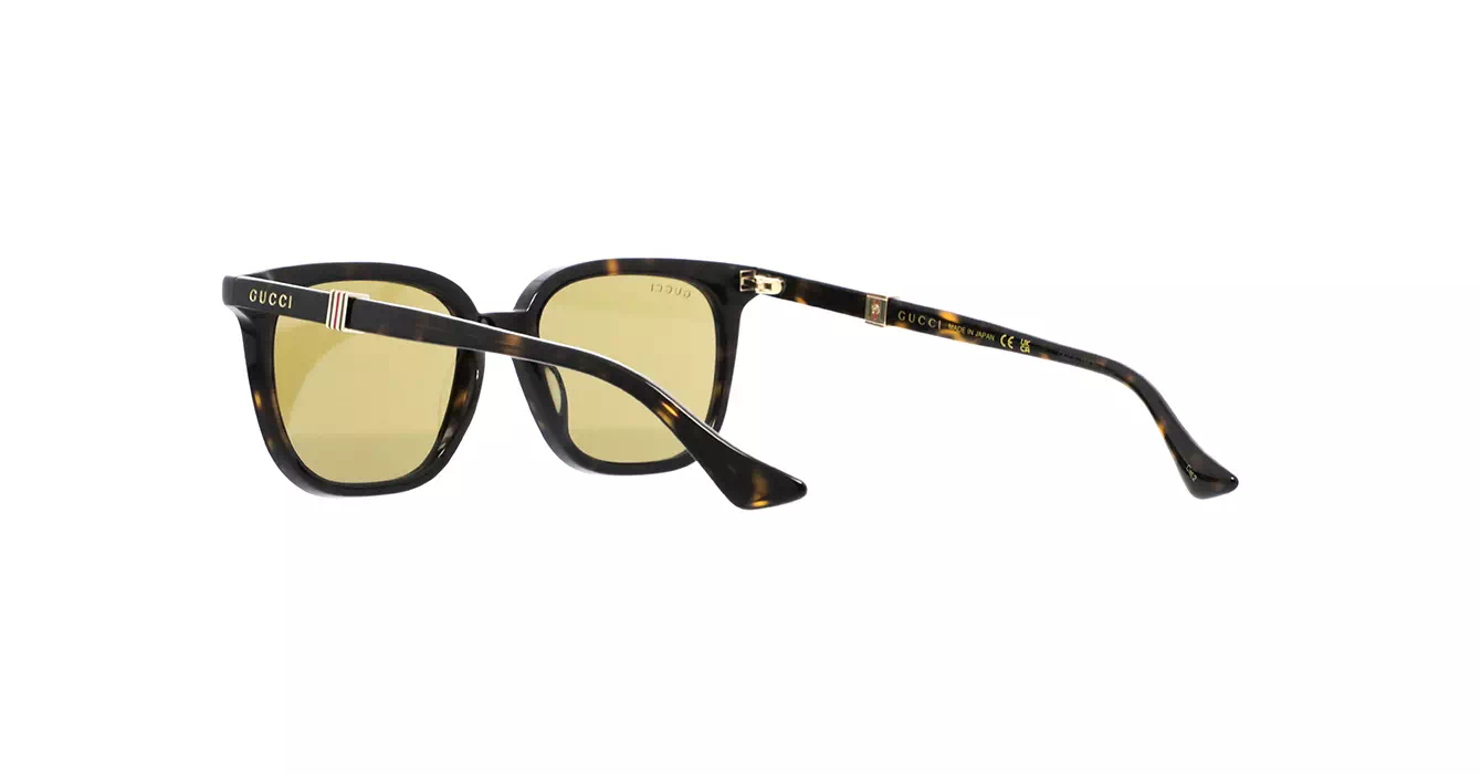 Gucci GG1493S 002 s54