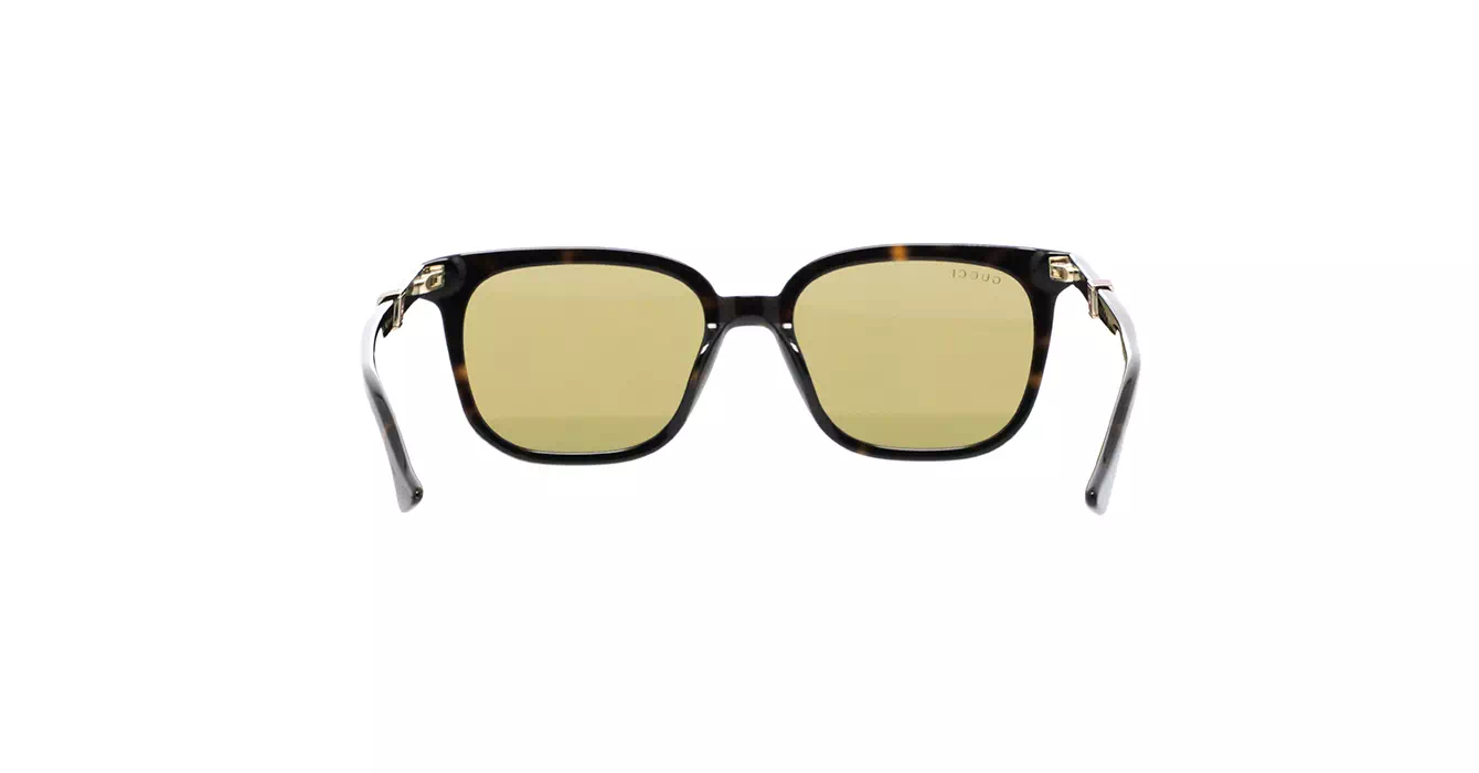 Gucci GG1493S 002 s54