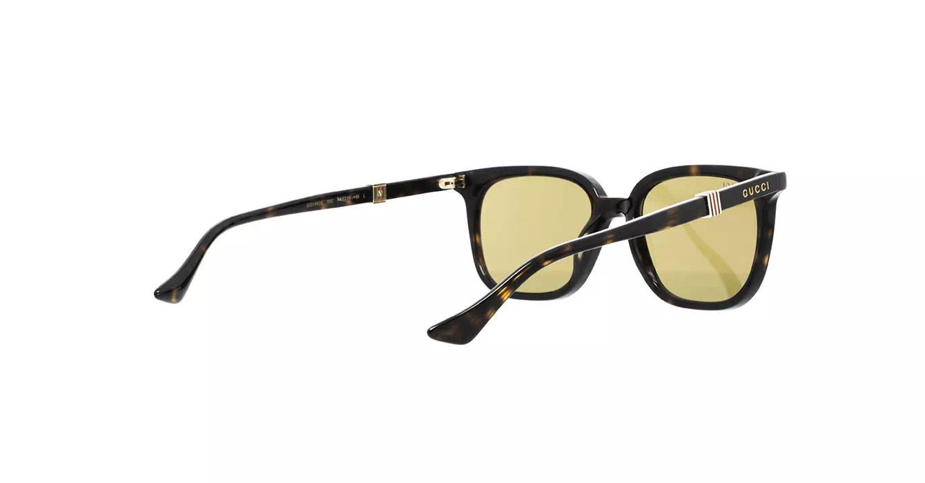 Gucci GG1493S 002 s54
