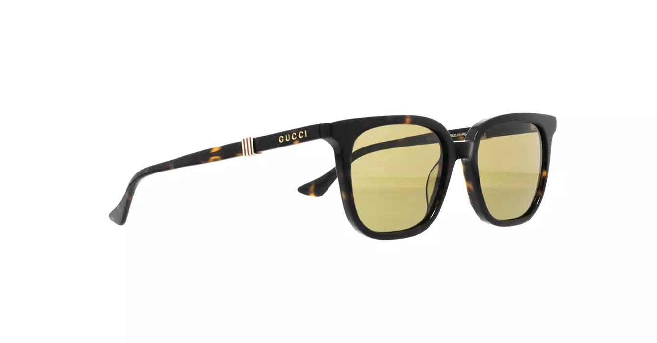 Gucci GG1493S 002 s54