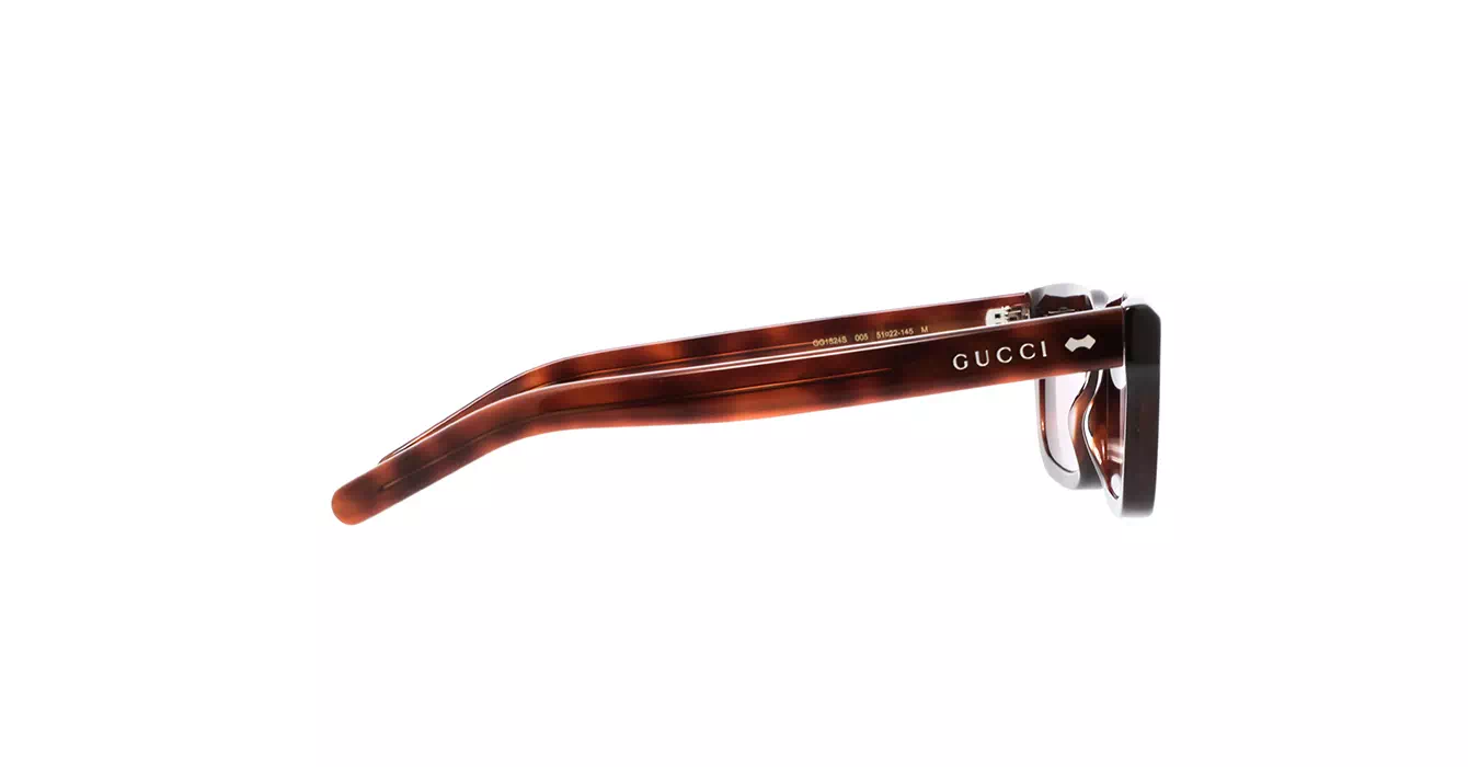 Gucci GG1524S 005 s51