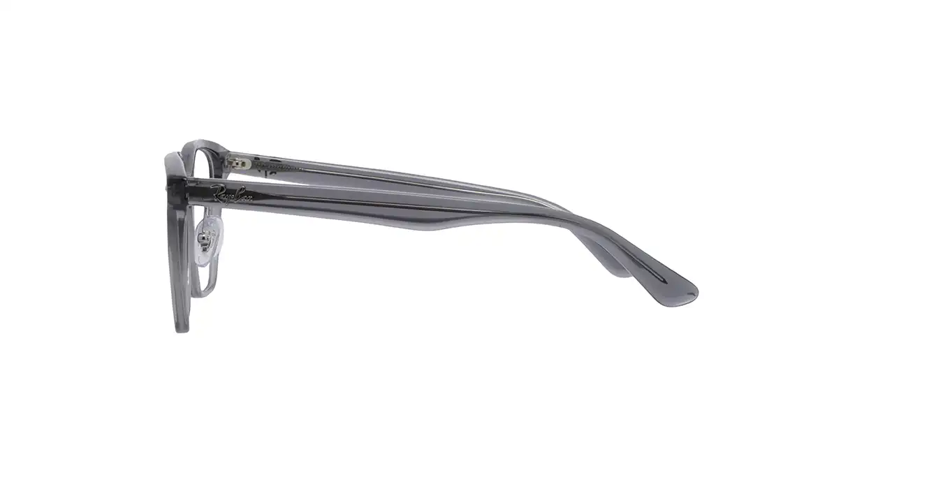 Ray-Ban RB5425D 8268 s54