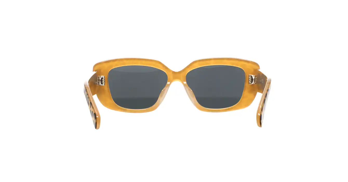 Celine CL40216U 99A s55