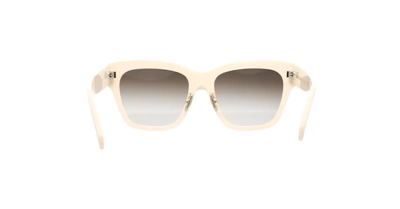 Celine CL40253F 25F s55
