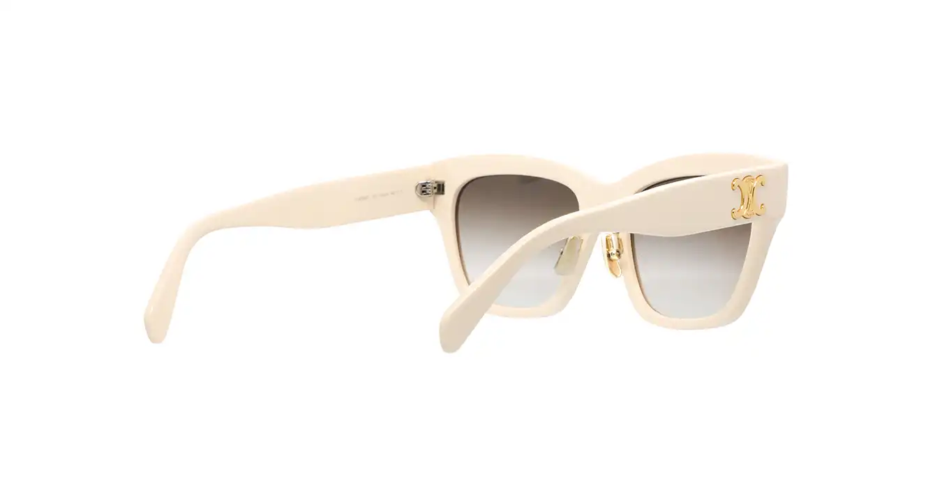 Celine CL40253F 25F s55