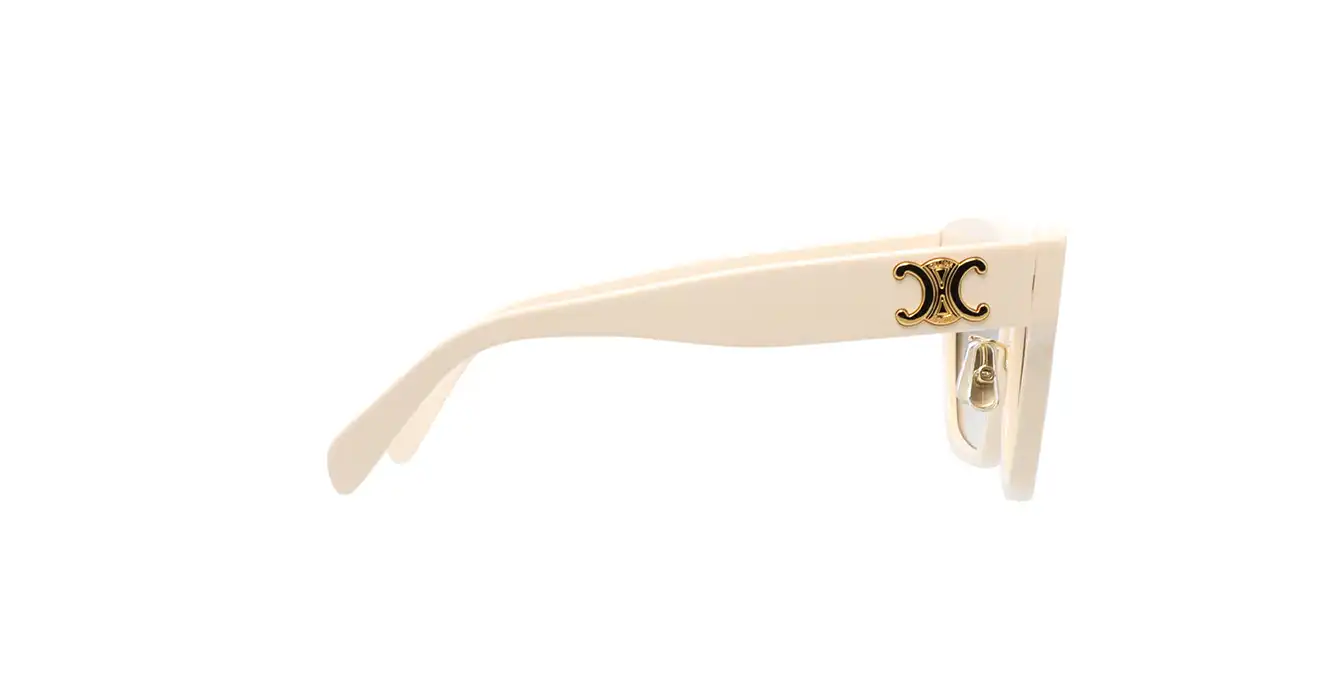 Celine CL40253F 25F s55
