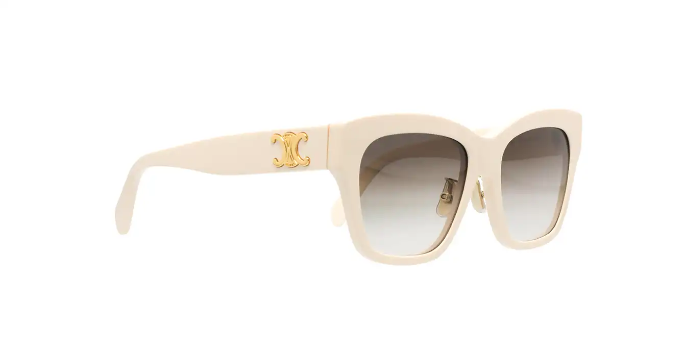 Celine CL40253F 25F s55