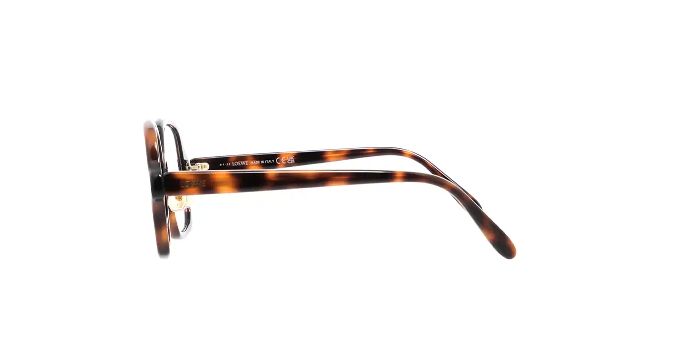Loewe LW50070F 052 s52