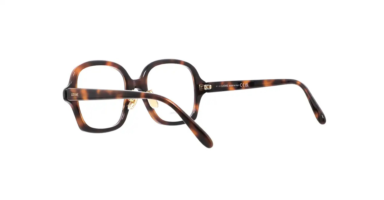 Loewe LW50070F 052 s52