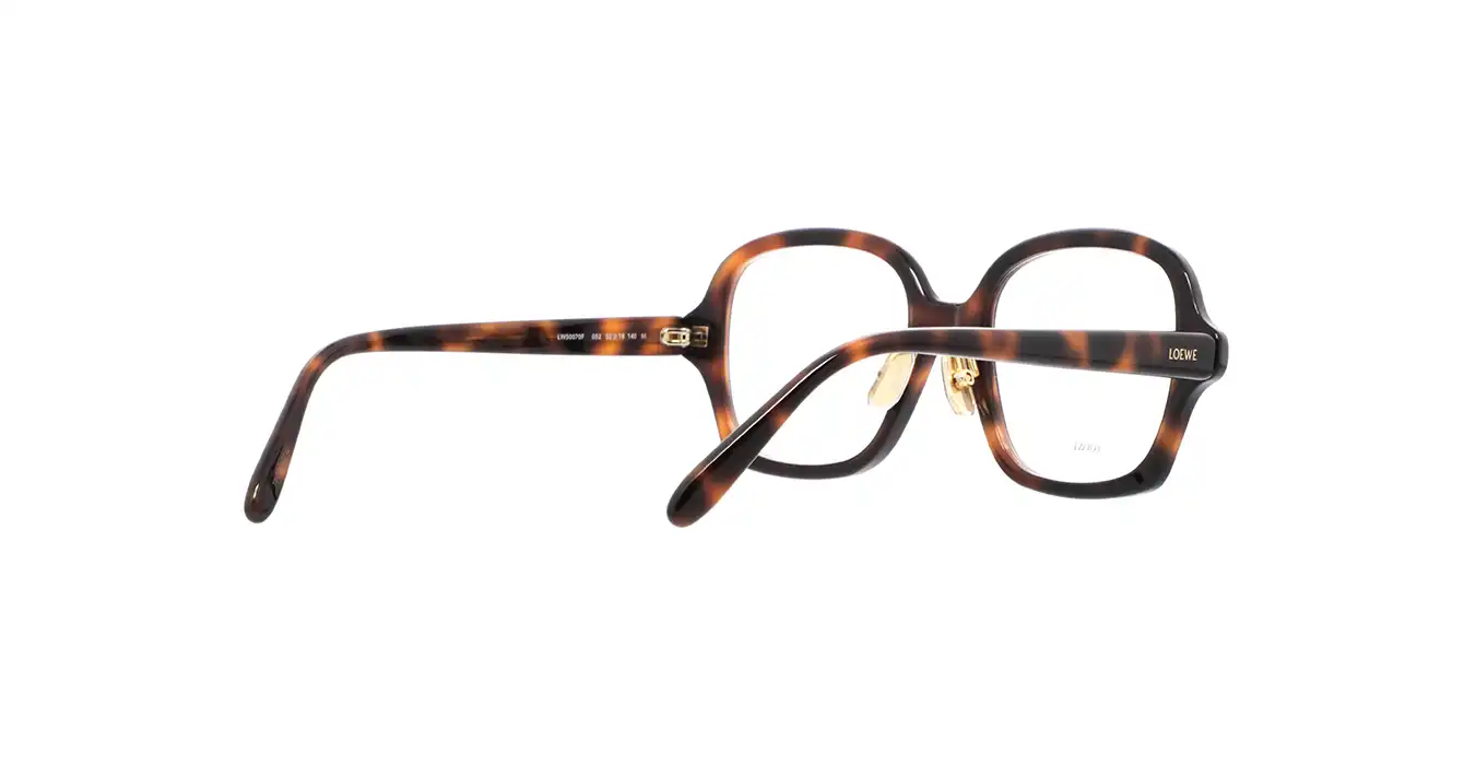 Loewe LW50070F 052 s52