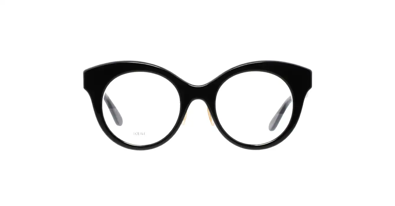 Loewe LW50074F 001 s50