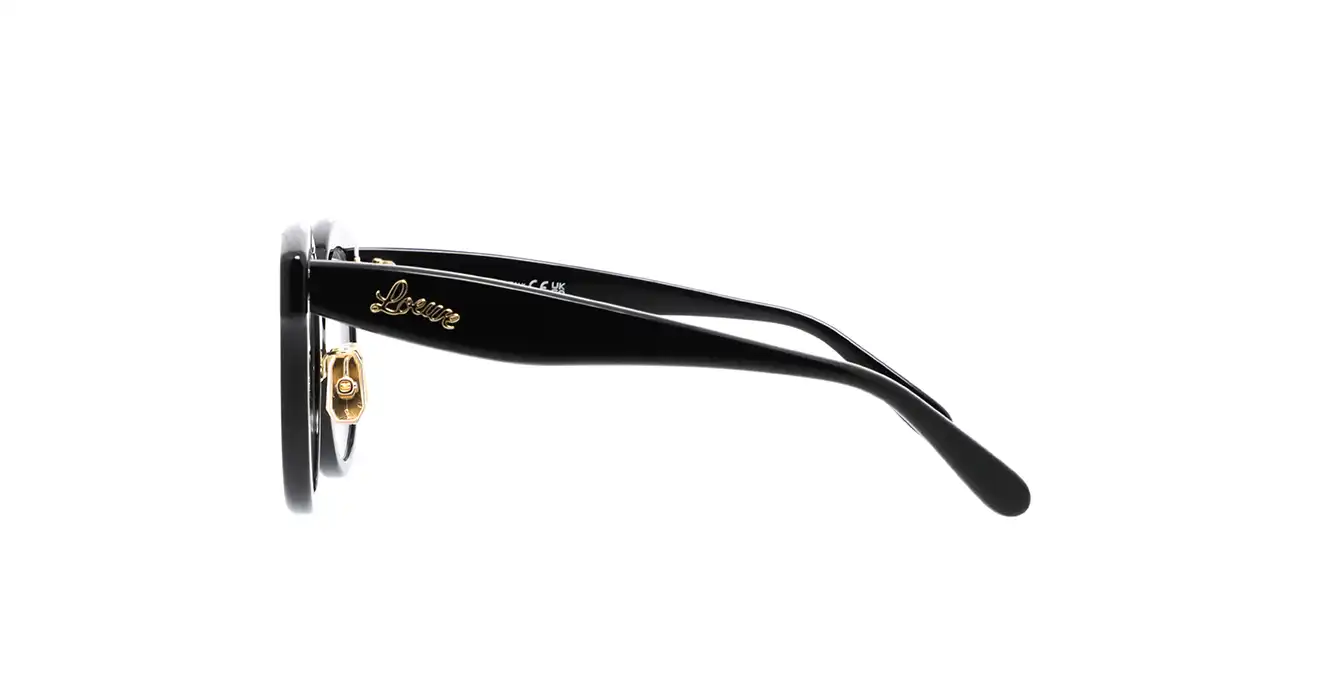 Loewe LW50074F 001 s50