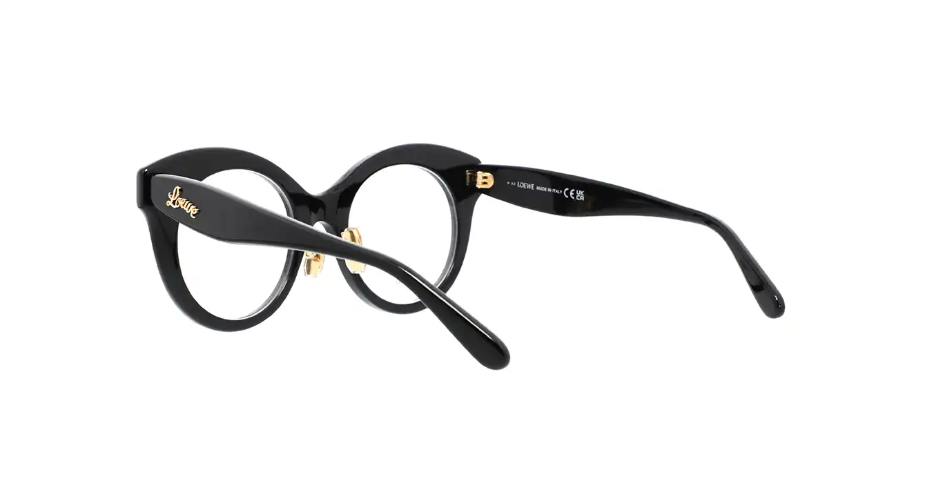Loewe LW50074F 001 s50