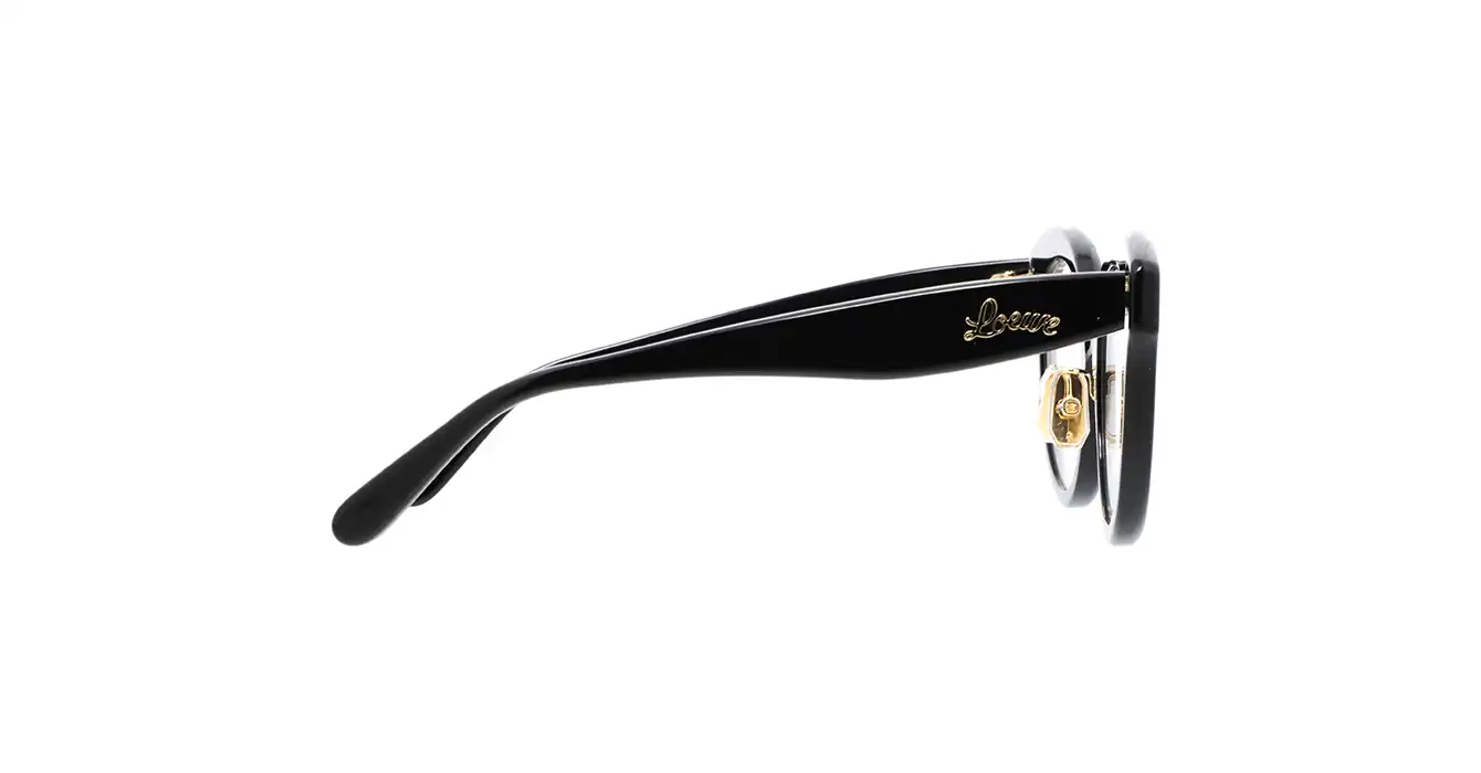 Loewe LW50074F 001 s50