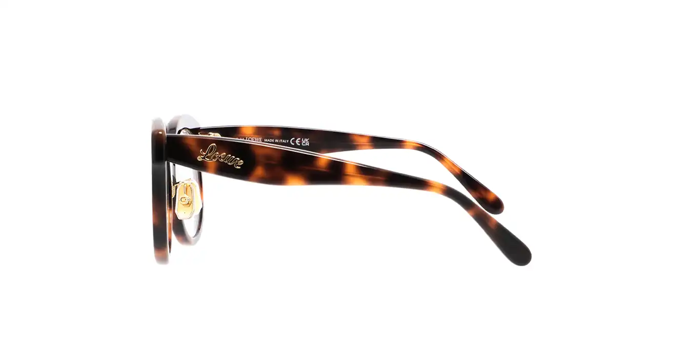 Loewe LW50074F 052 s50