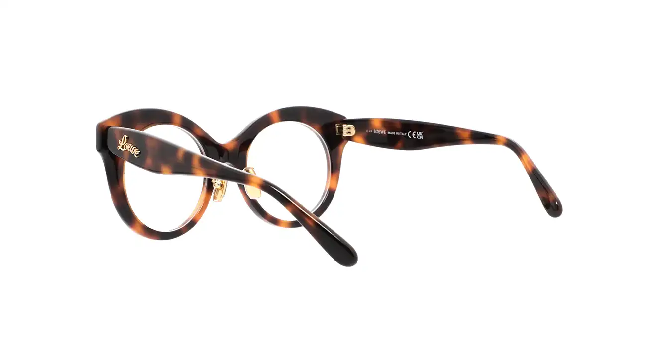Loewe LW50074F 052 s50
