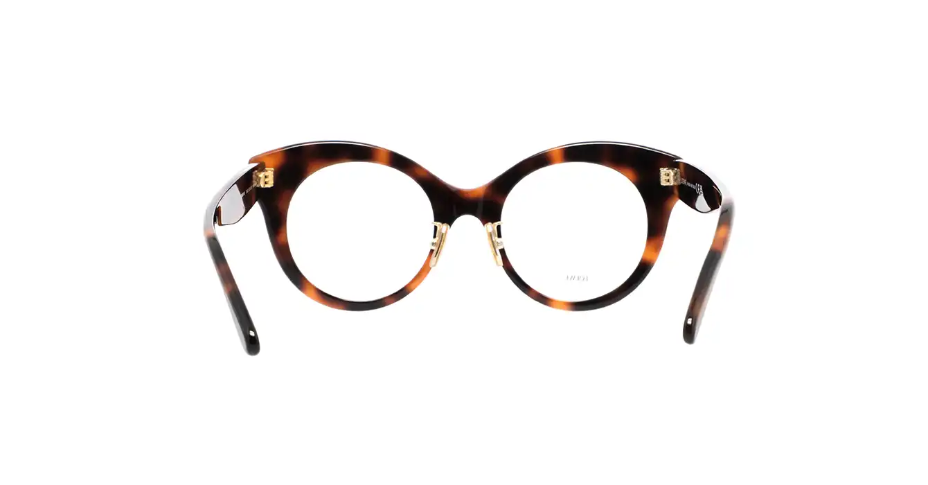 Loewe LW50074F 052 s50
