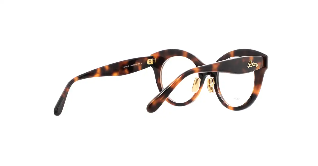 Loewe LW50074F 052 s50
