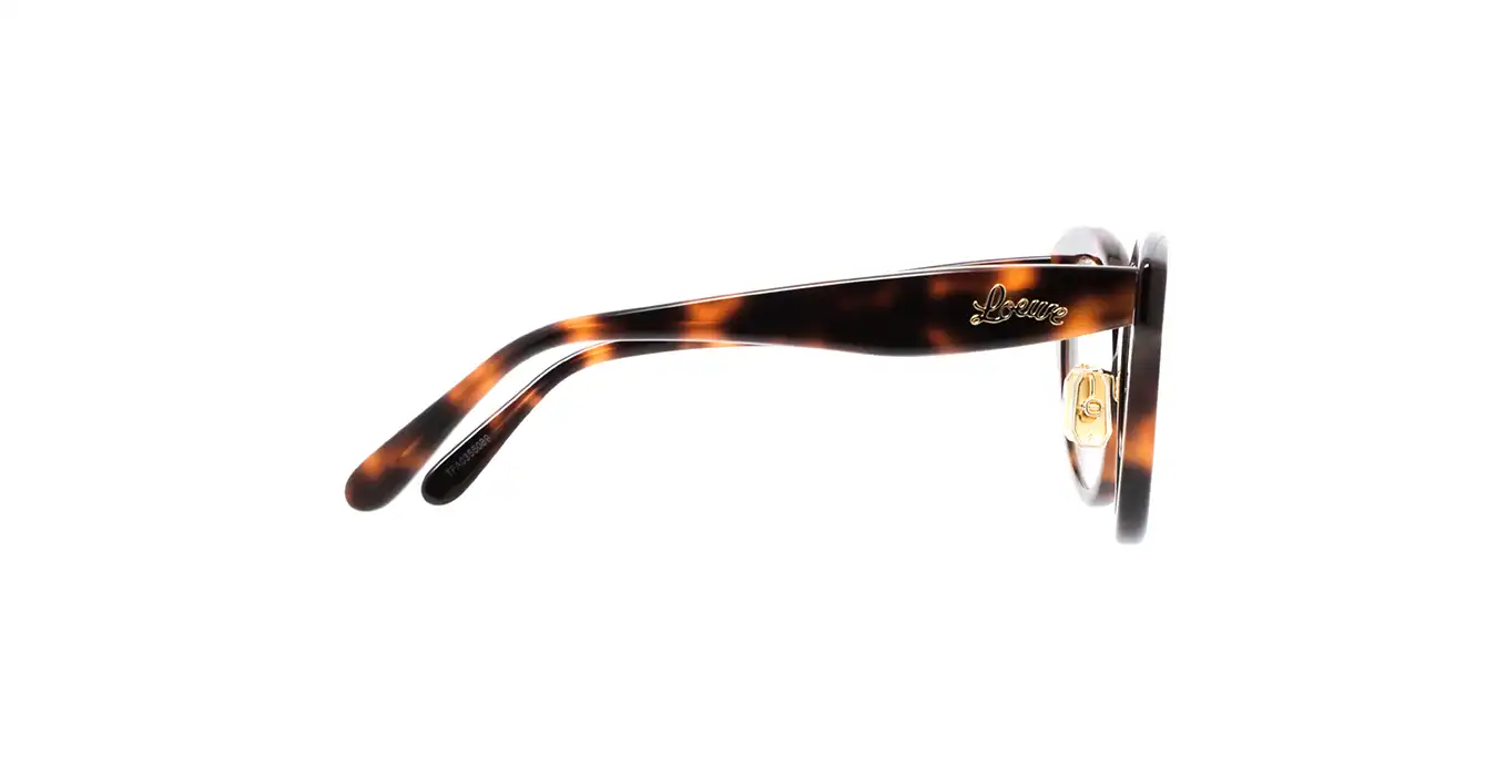 Loewe LW50074F 052 s50