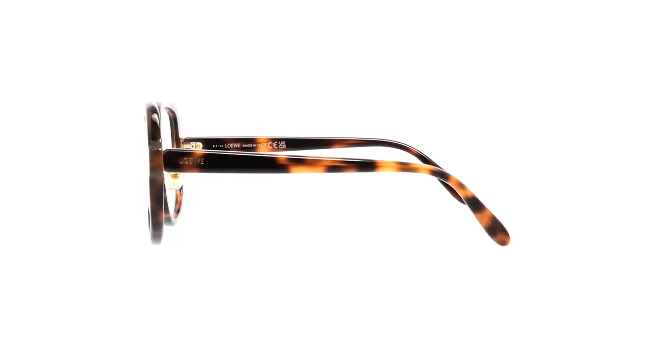 Loewe LW50078F 052 s54