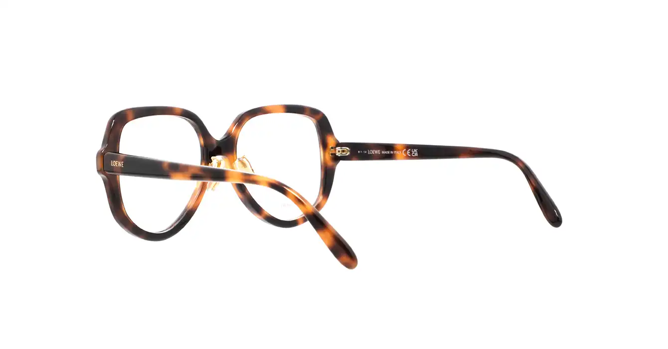 Loewe LW50078F 052 s54