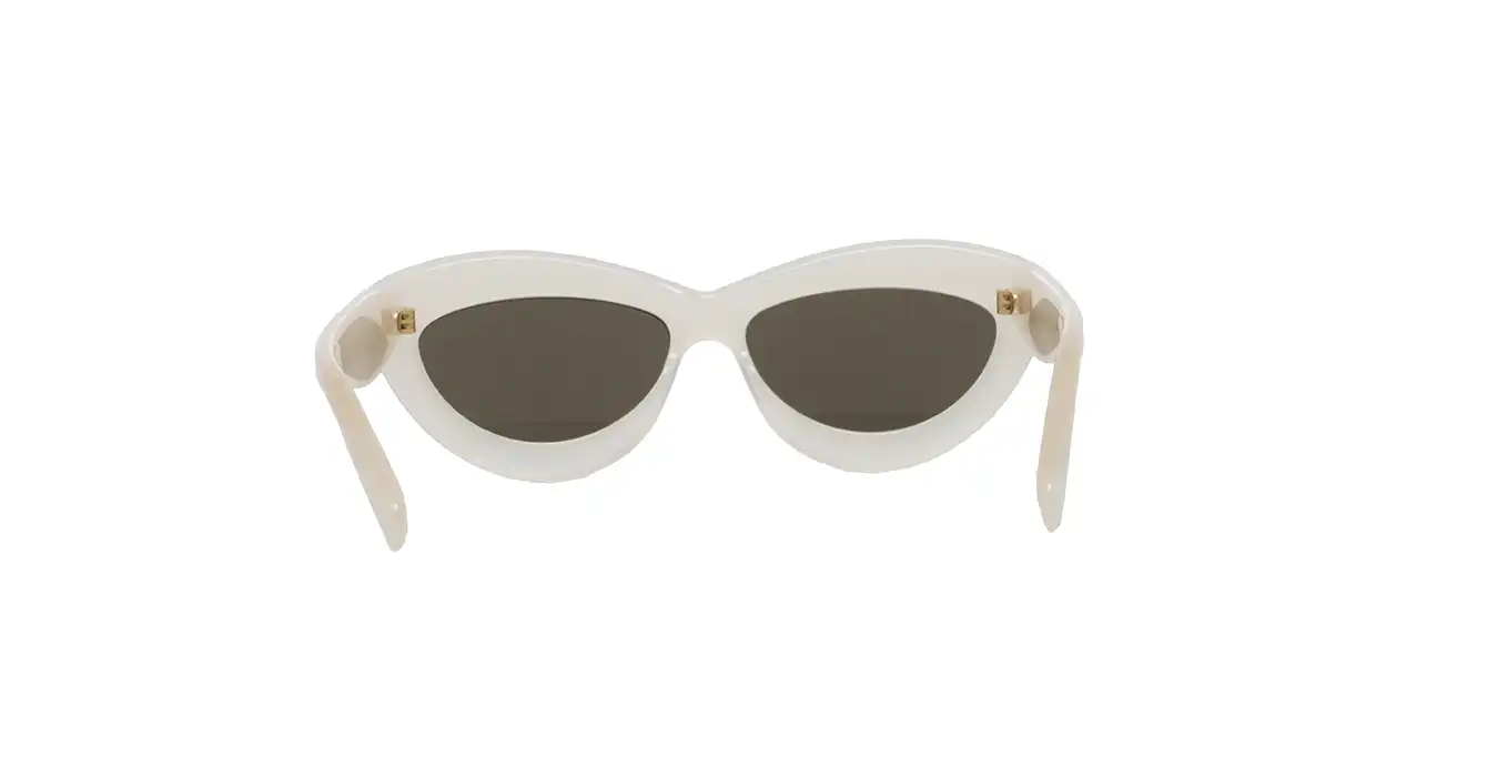 Loewe LW40096I 25E s54