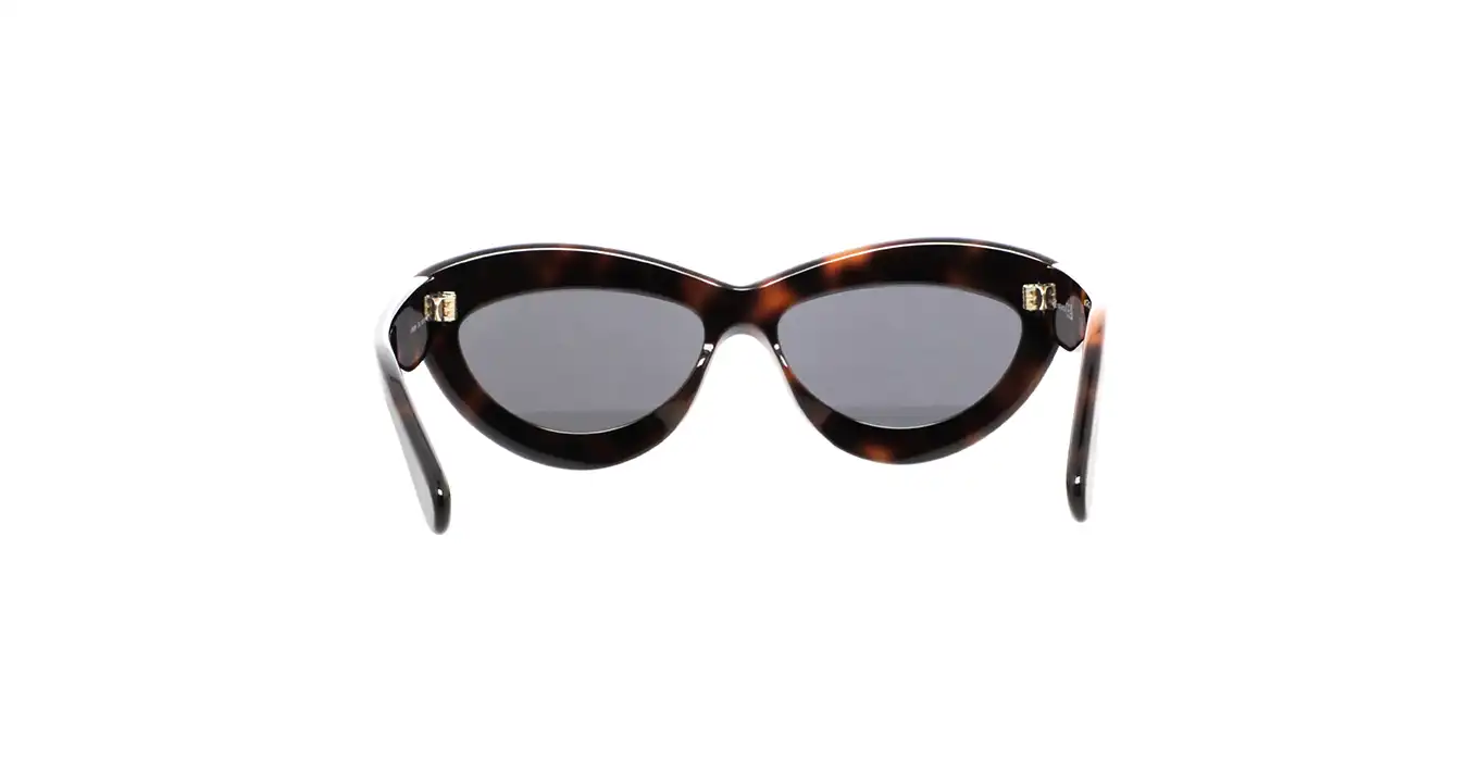 Loewe LW40096I 52A s54