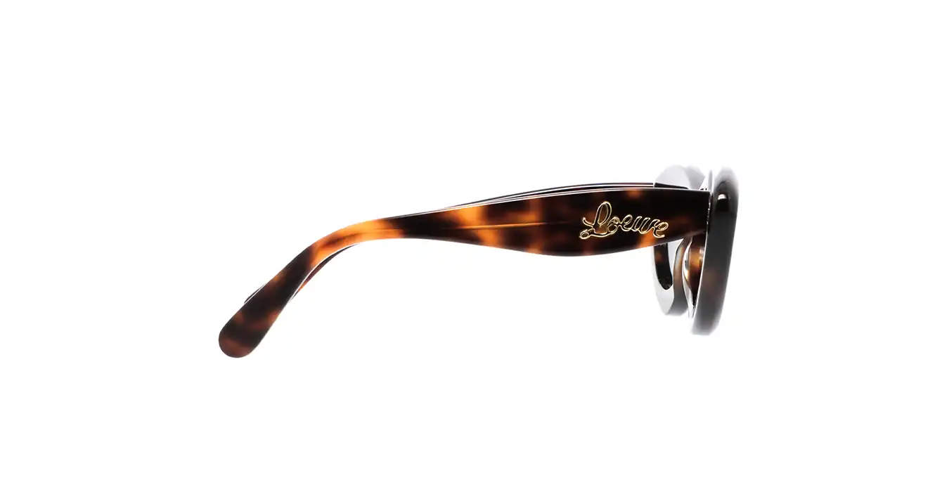 Loewe LW40096I 52A s54