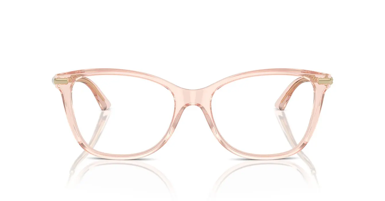 Jimmy Choo JC3007HF 5034 s54