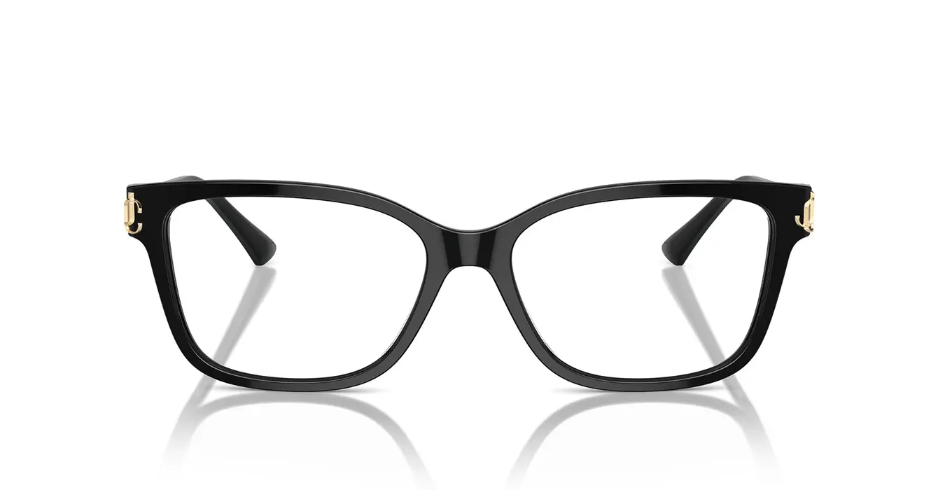 Jimmy Choo JC3012F 5000 s53