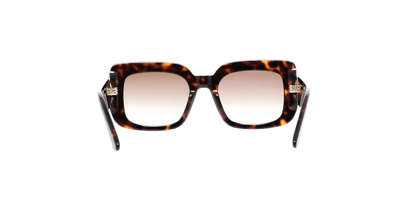 Longchamp LO753S 242 s51