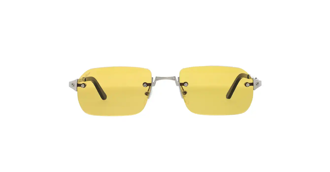 Cartier CT0460S 004 s56