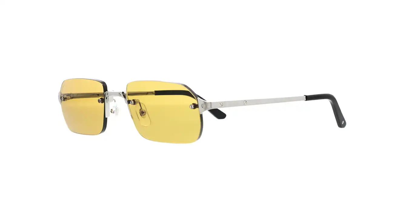 Cartier CT0460S 004 s56