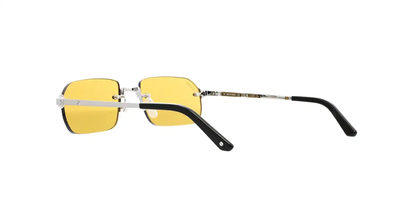 Cartier CT0460S 004 s56