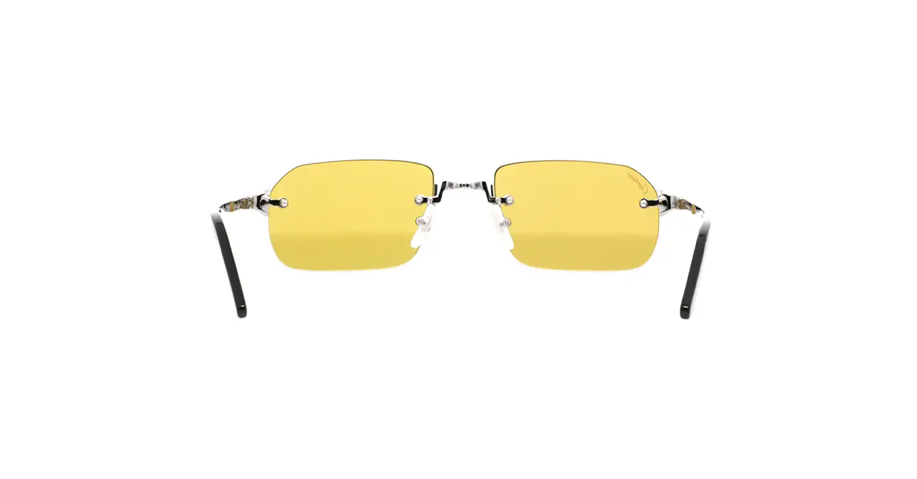 Cartier CT0460S 004 s56