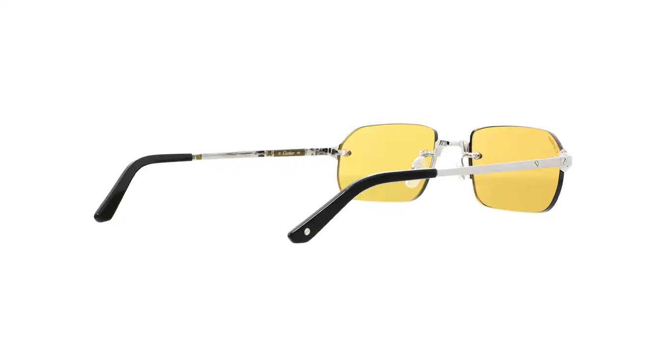 Cartier CT0460S 004 s56