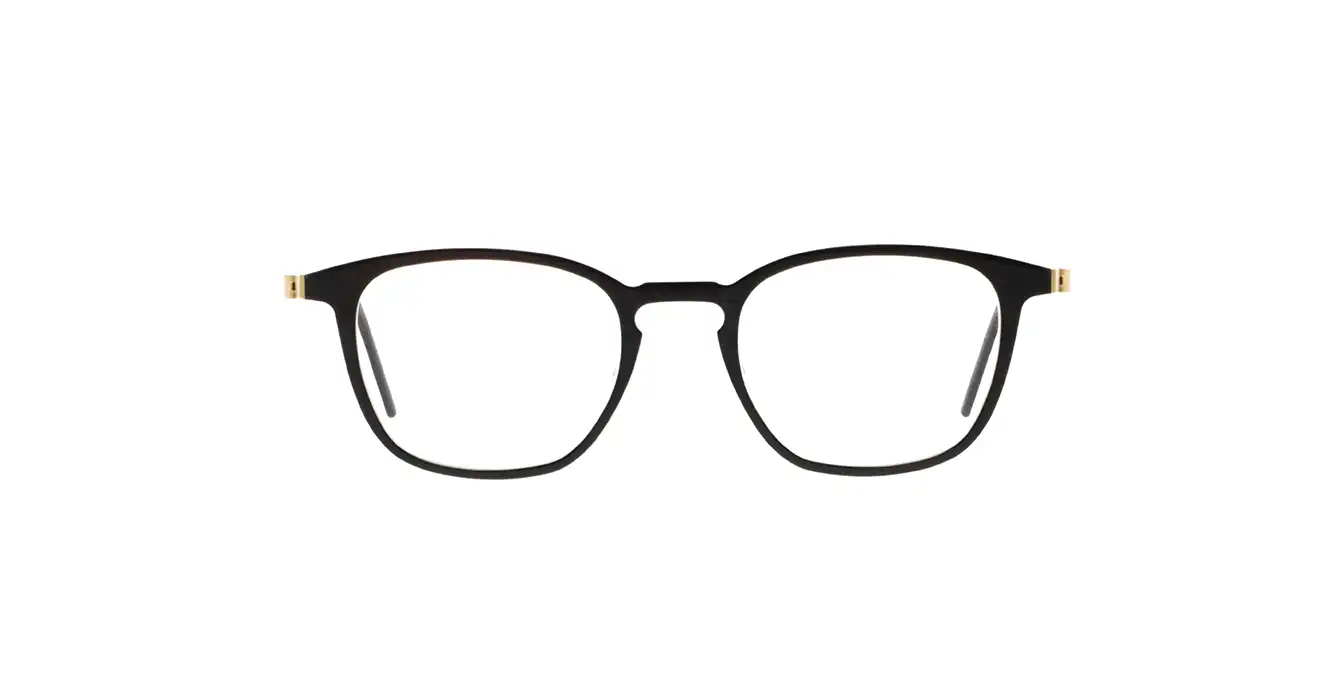 Lindberg 1843-207 H26-G1 s49 BUFFALO