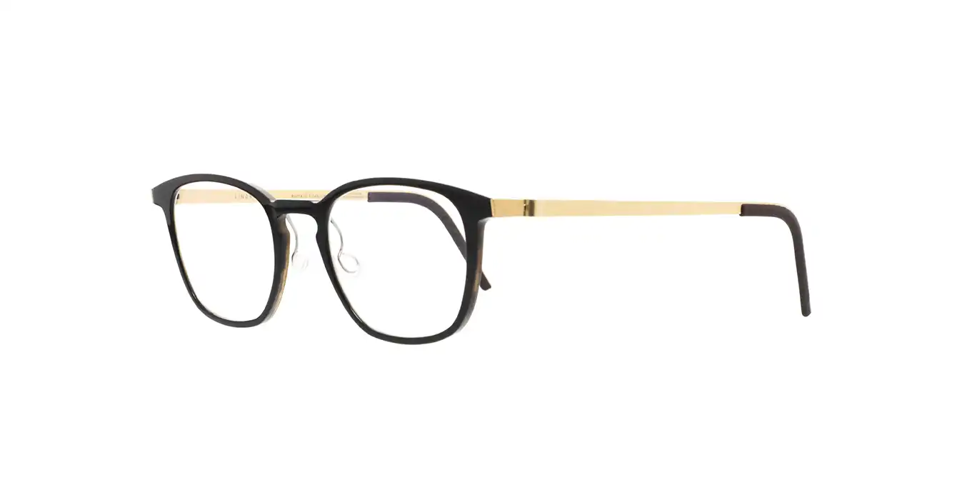 Lindberg 1843-207 H26-G1 s49 BUFFALO