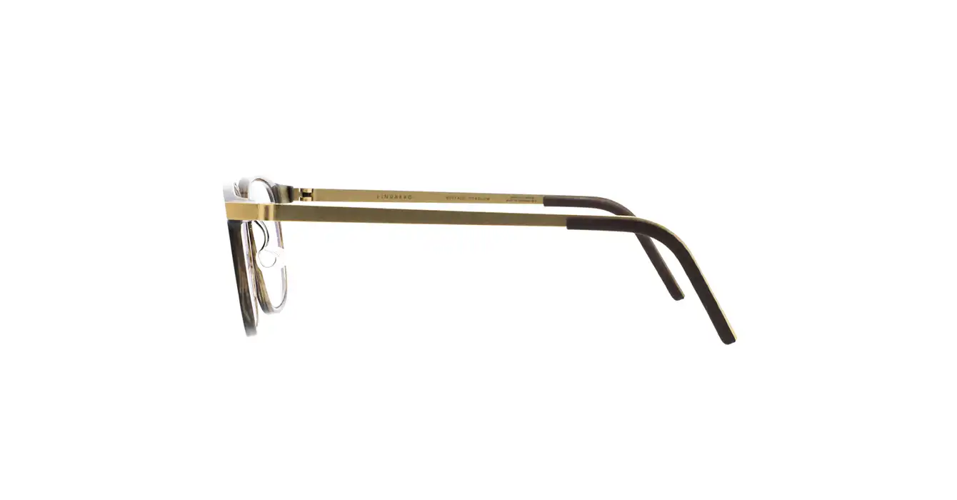 Lindberg 1843-207 H26-G1 s49 BUFFALO