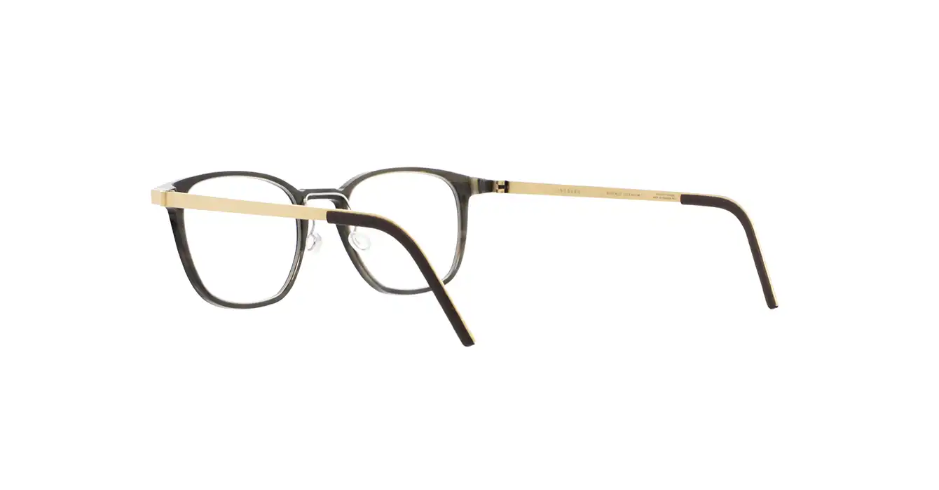 Lindberg 1843-207 H26-G1 s49 BUFFALO