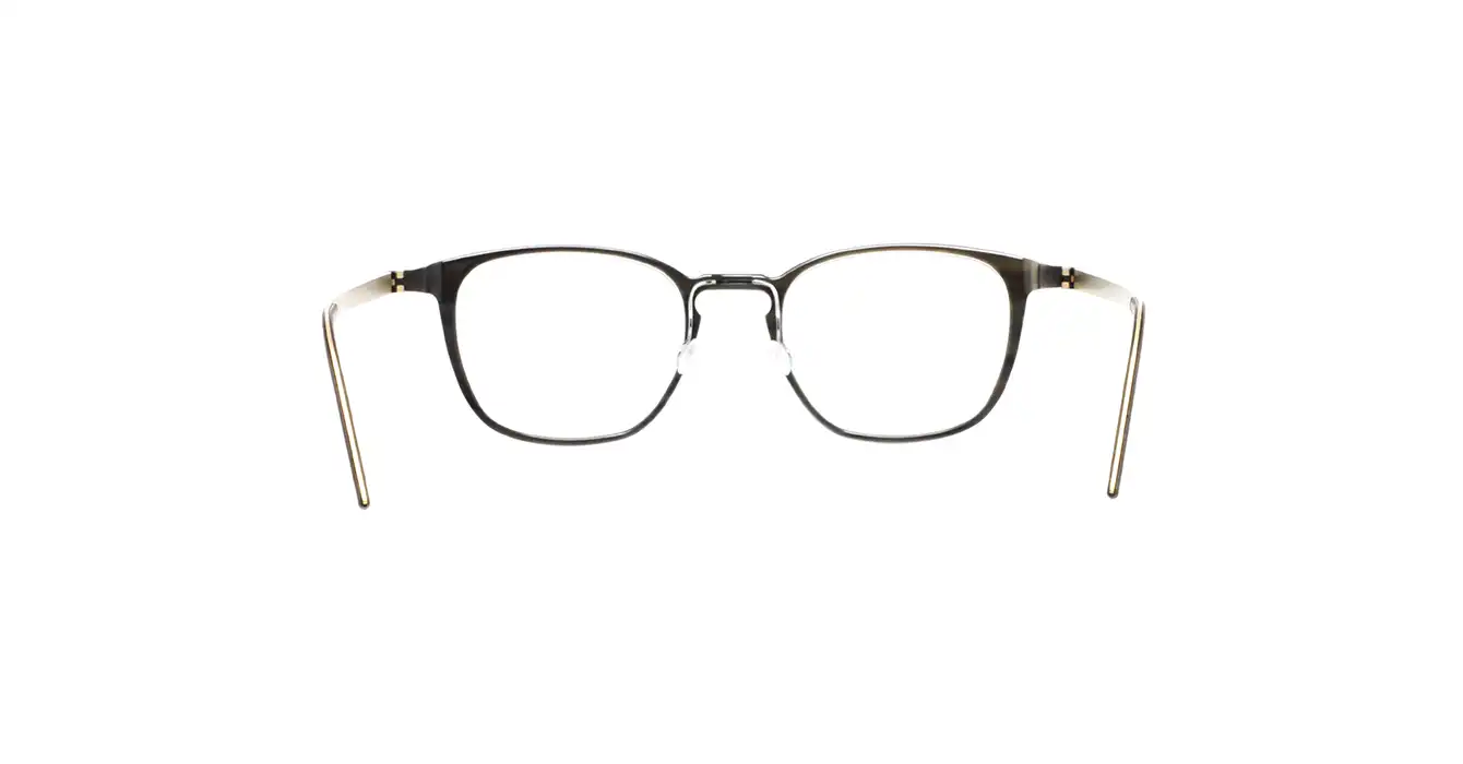 Lindberg 1843-207 H26-G1 s49 BUFFALO