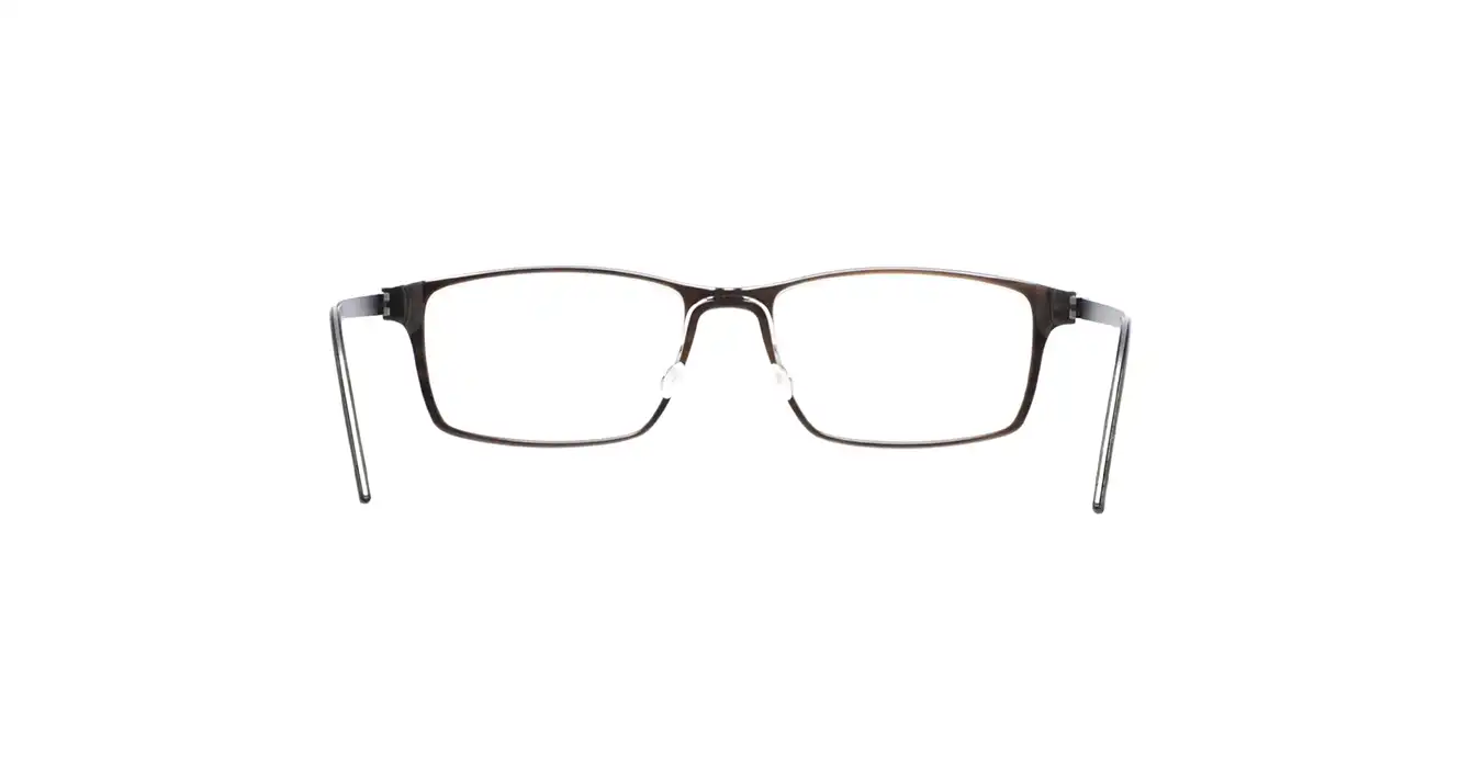 Lindberg 1816-207 H18-U16 s55 BUFFALO