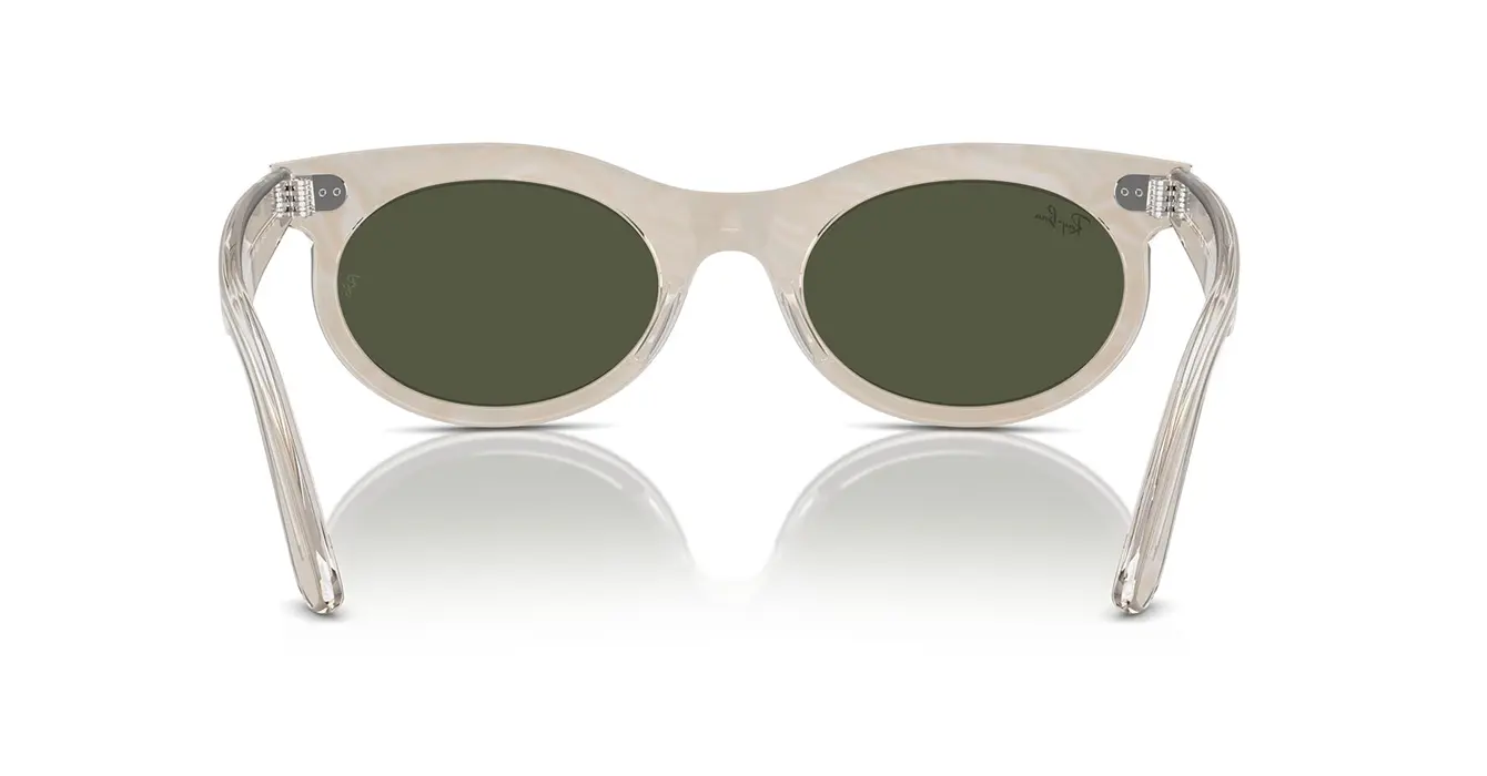 Ray-Ban RB2242F 1383/31 s53