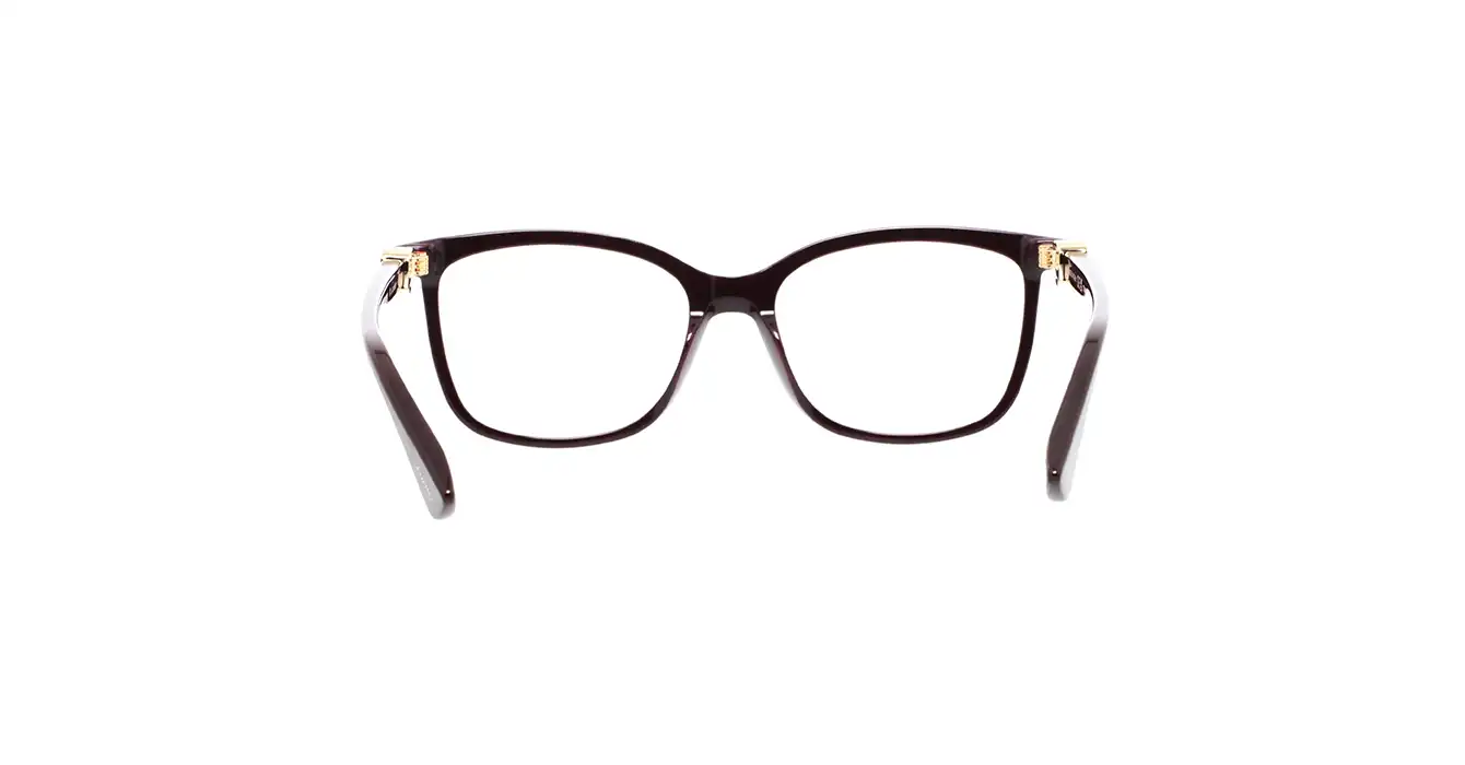 Cartier CT0493O 003 s55