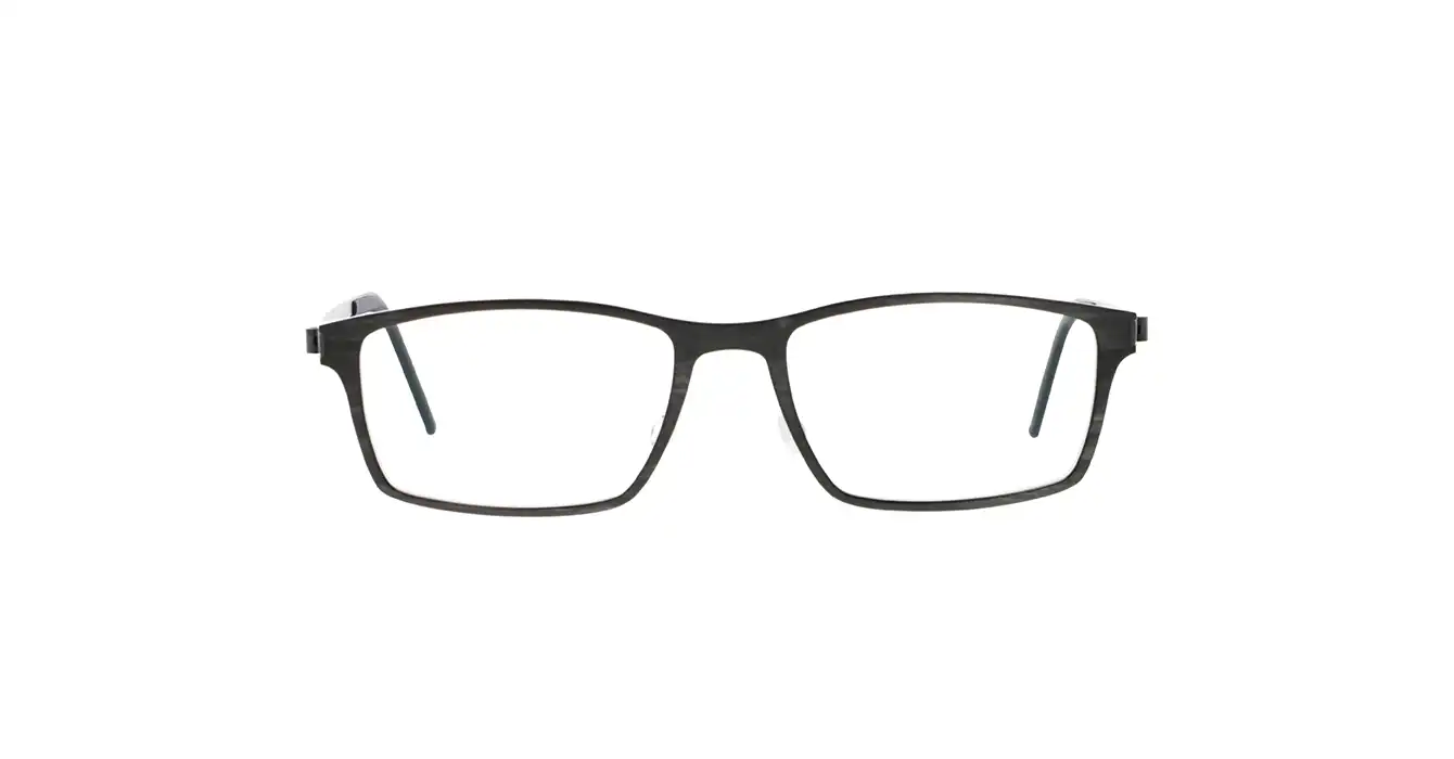Lindberg 1816-207 HTE26-U9 s55 BUFFALO