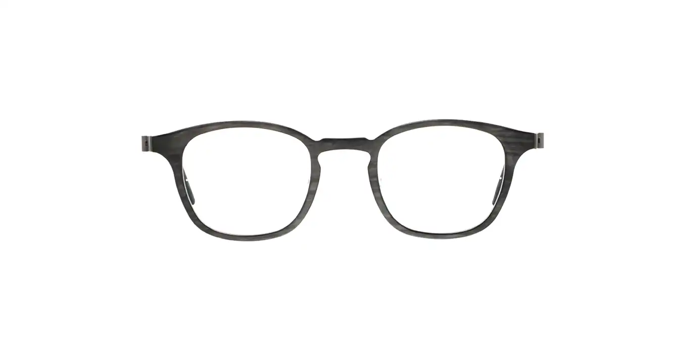 Lindberg 1854-219 HTE26-10 s48 BUFFALO