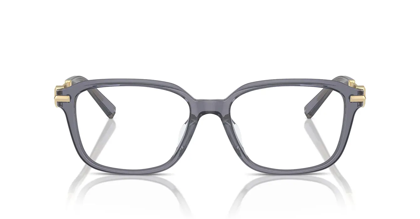 Tiffany&Co TF2253-D 8405 s54