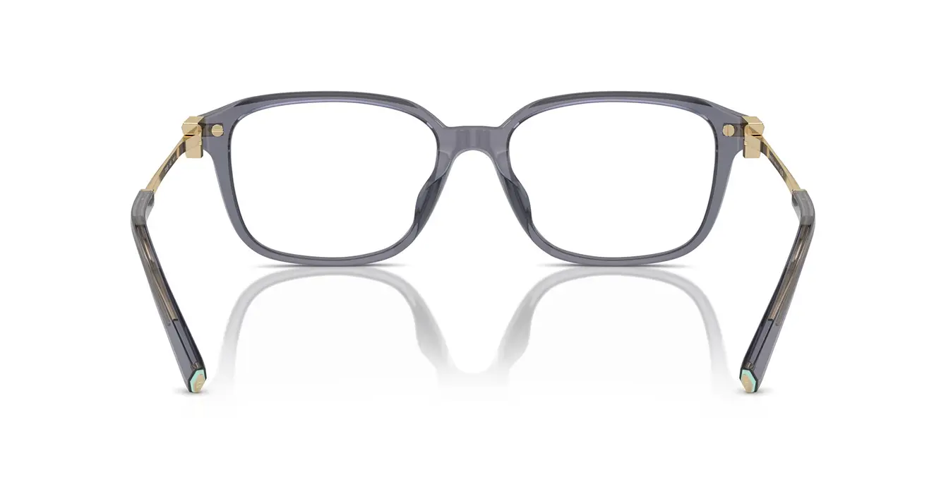 Tiffany&Co TF2253-D 8405 s54