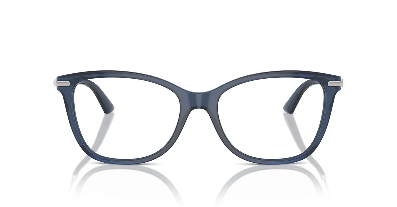Jimmy Choo JC3007HF 5035 s54