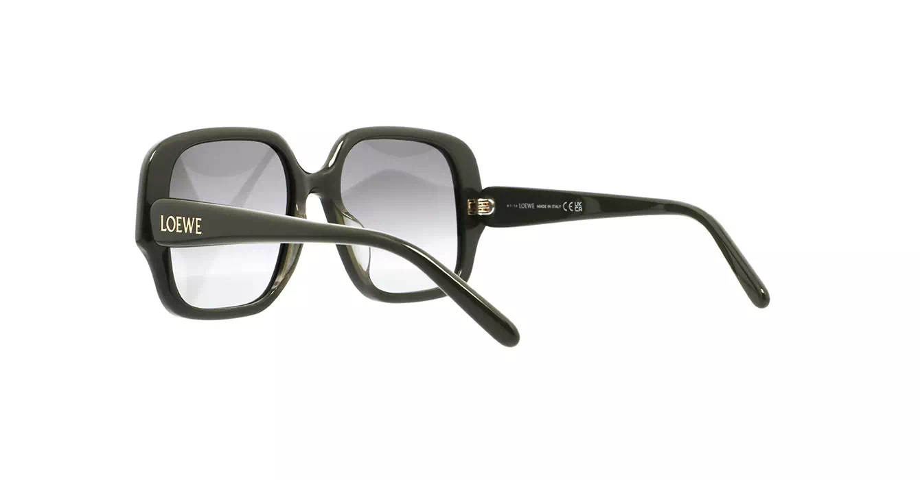 Loewe LW40134U 96B s54
